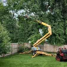 Mcqueeney, TX Tree Services Company