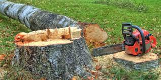 Best Firewood Processing and Delivery  in Mcqueeney, TX